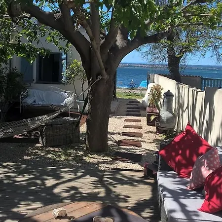 Maison De Pecheur Les Pieds Dans L'eau Et Son Cabanon *