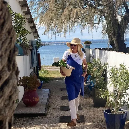 Maison De Pecheur Les Pieds Dans L'eau Et Son Cabanon Ferienhaus *